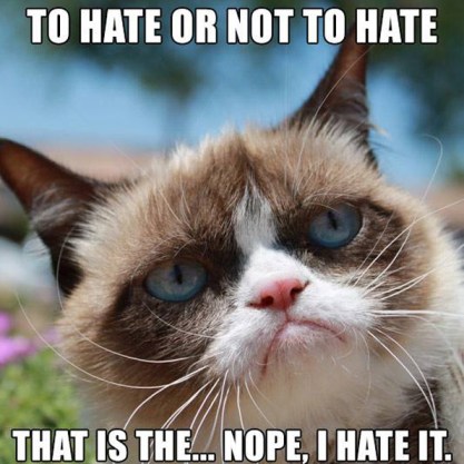 1834241629-grumpy-cat-hate
